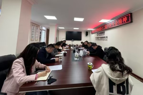 產(chǎn)業(yè)集團專題傳達學習省委十二屆六次全會精神